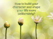 Grow With Us Ventures. How to build your character and shape your life more deliberately?